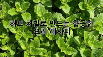 허브 처빌로 만드는 향긋한 요리 레시피